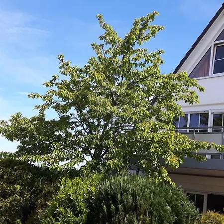 Wellenberg Apartment Breege Exterior photo
